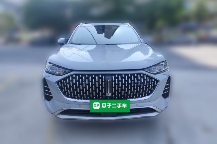 Used Wey Mocha 2021 2.0T Two-Wheel Drive Special Edition
