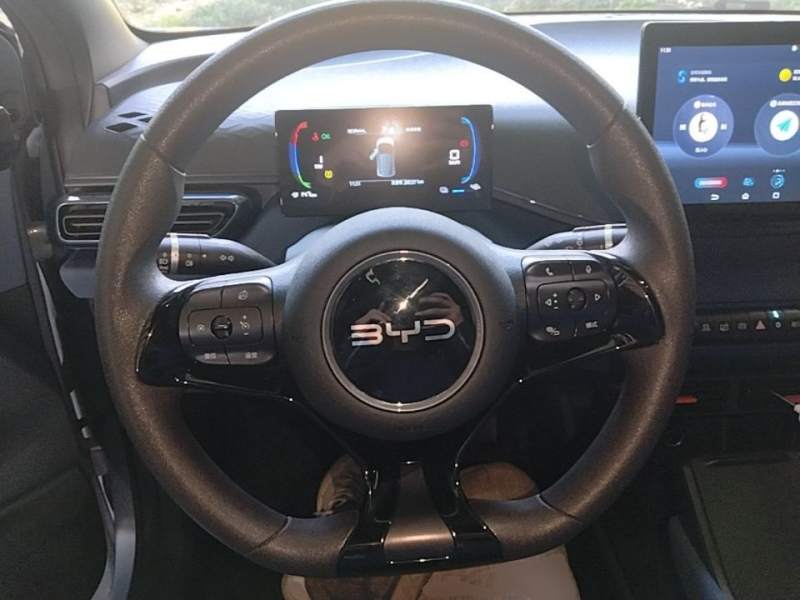 Used BYD Seagull 2025 305km Active Version — 10