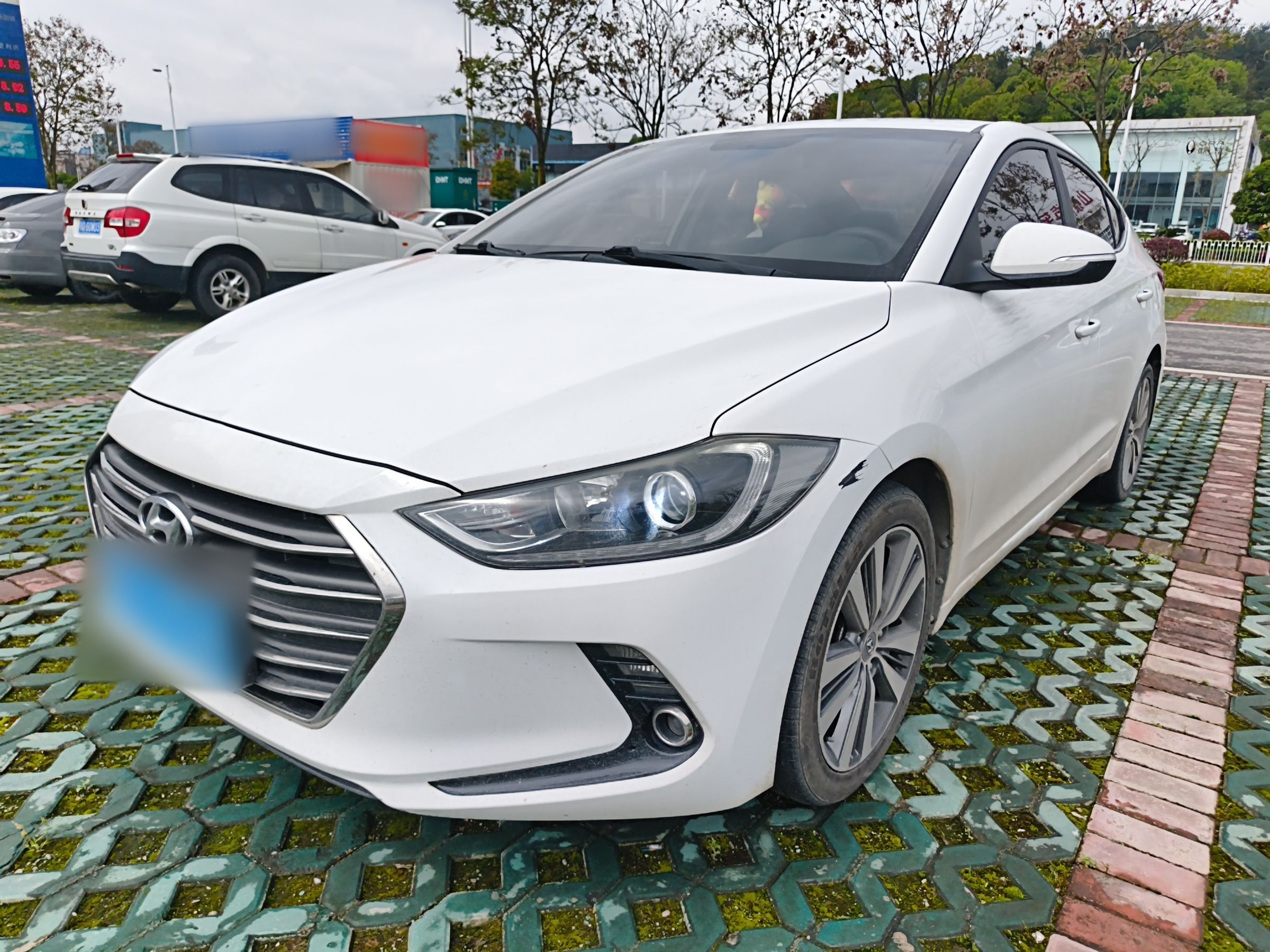 تحت مقدمة السيارة