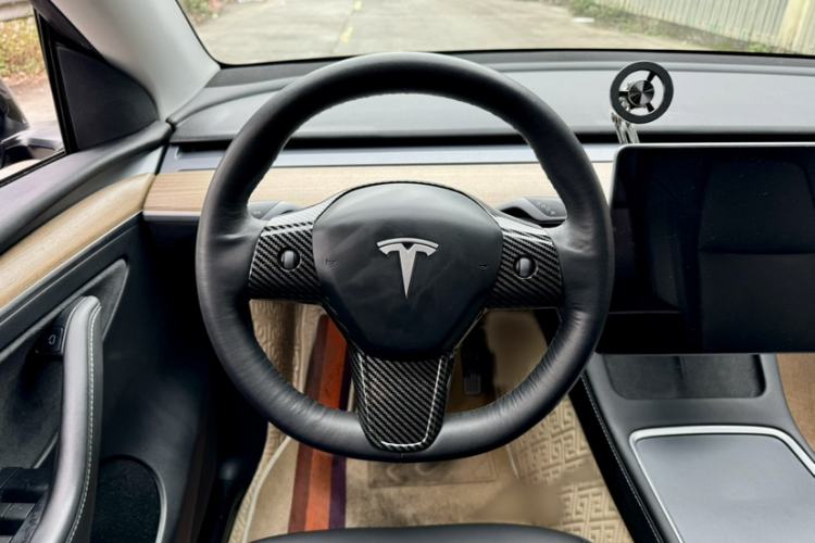 Used Tesla Model Y 2021 Standard Range Rear-Wheel Drive Version
