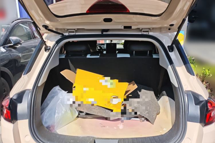 Used NETA AYA 2023 401 Lite