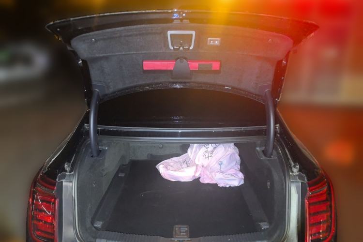 Used Hongqi H9 2023 2.0T Smart Connect Flagship Edition