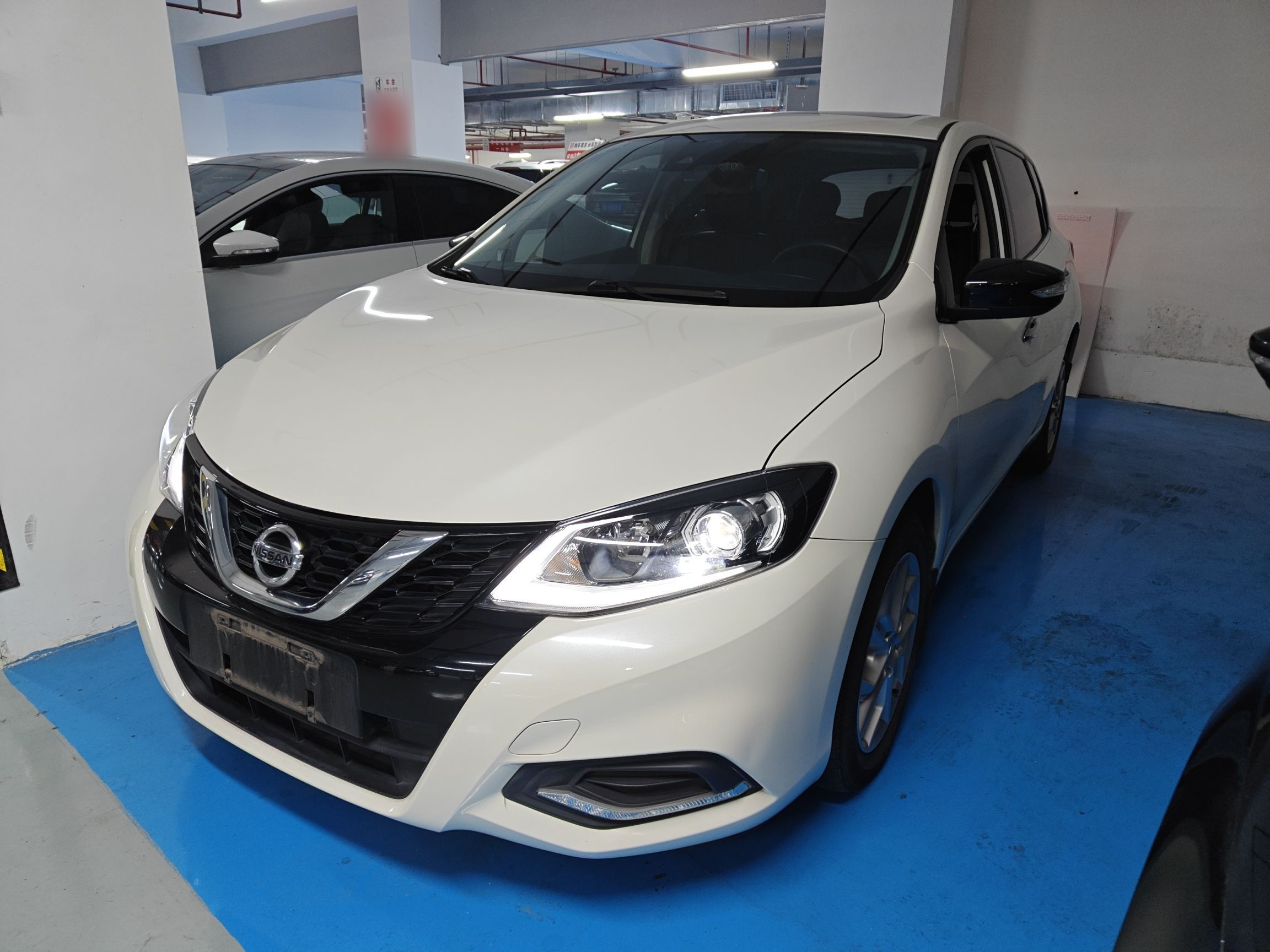 تحت مقدمة السيارة