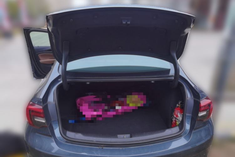 Used Buick Regal 2019 20T Elite Version China VI Standard
