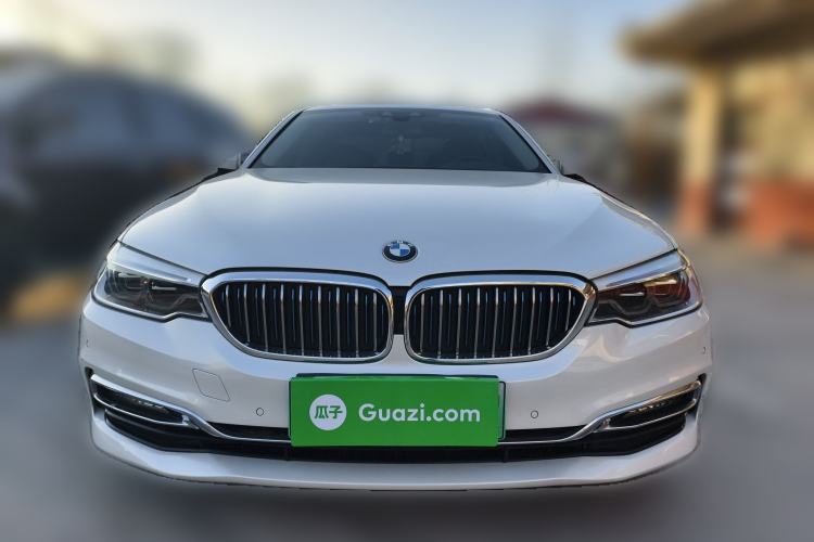 Used BMW 5 Series New Energy 2019 530Le Luxury Package
