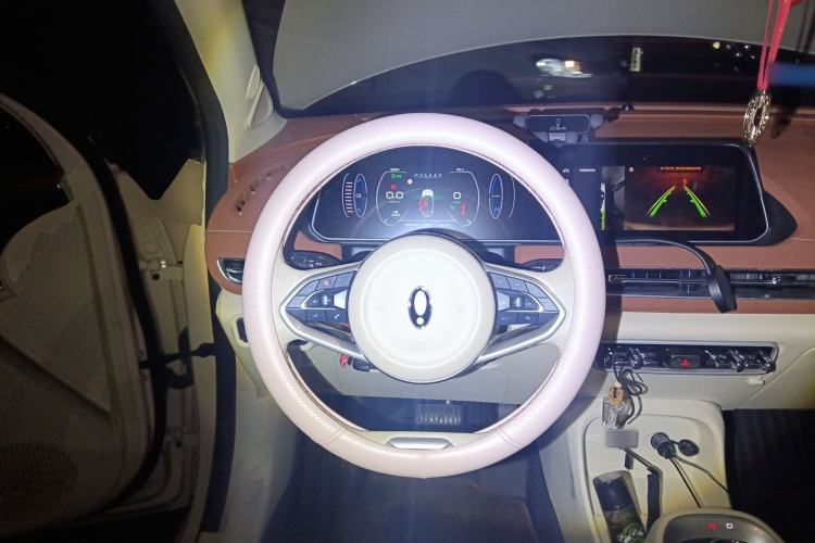 Used ORA Good Cat 2022 Morandi Edition 400km Standard Range Luxury Version Lithium Iron Phosphate Steering Wheel