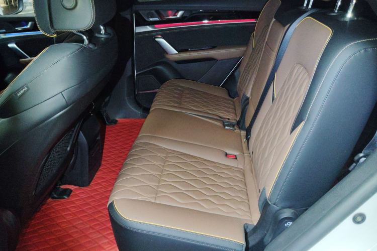 Used BYD Tang New Energy 2021 DM 2.0T Four-Wheel Drive High-Performance Flagship Model Left Rear Seat