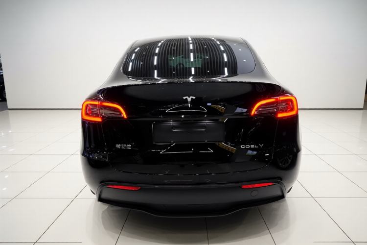 Used Tesla Model Y 2022 Revised Version Long-Range All-Wheel Drive Rear