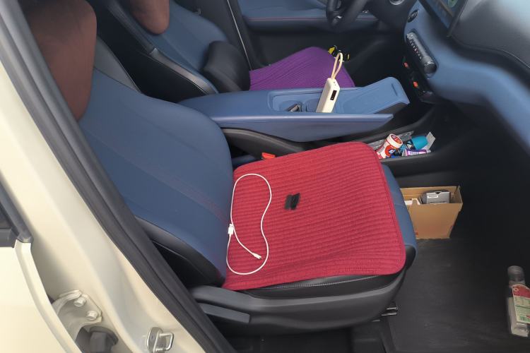 Used BYD Seagull 2024 Honor Edition 305km Dynamic Version Right Front Seat