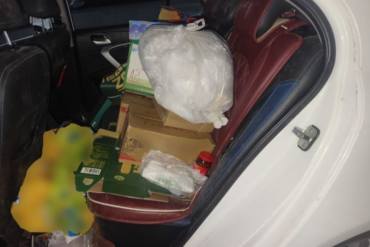 Used Geely Auto Emgrand New Energy 2016 EV Elite Model Left Rear Seat