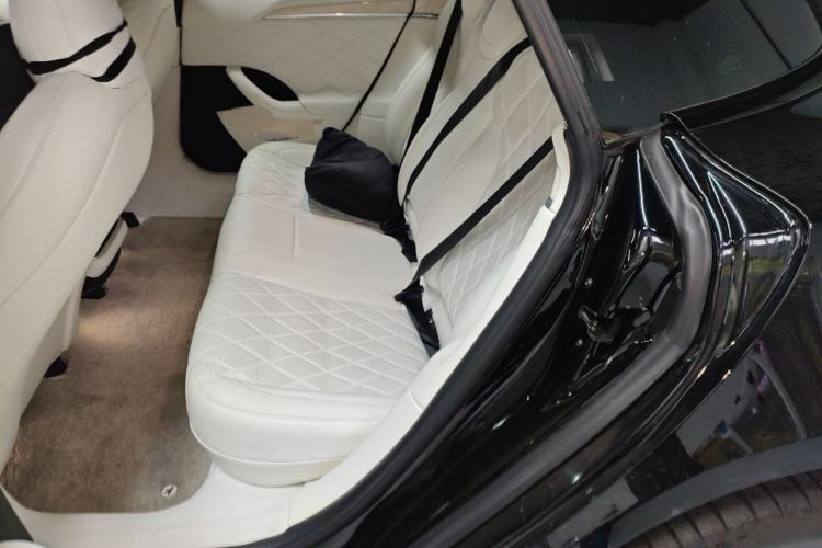 Used Tesla Model S 2023 Dual-Motor All-Wheel-Drive Version Left Rear Seat