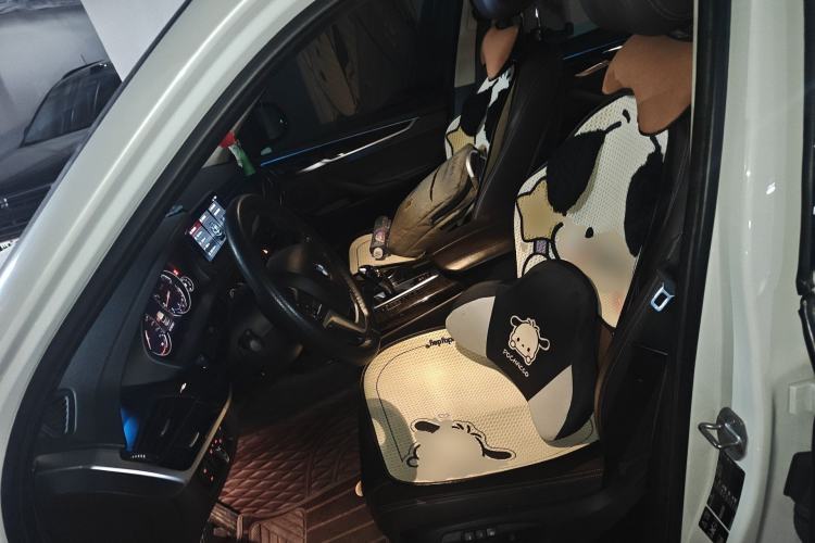 Used BMW X5 2017 xDrive28i Left Front Seat