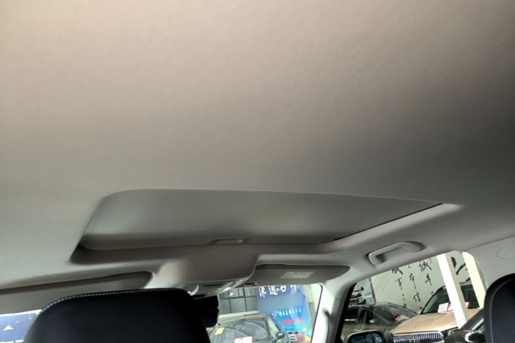 Used Tank 300 2024 2.0T Conqueror