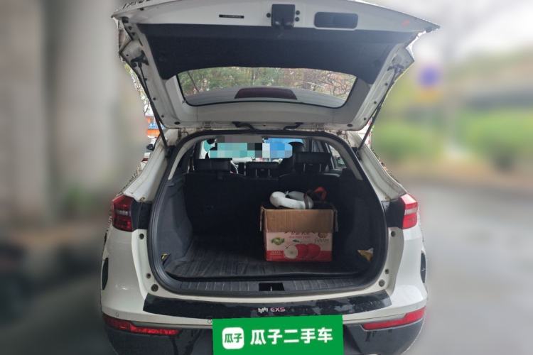 Used WM Motor EX5 2020 EX5 400 Jike Xing Edition
