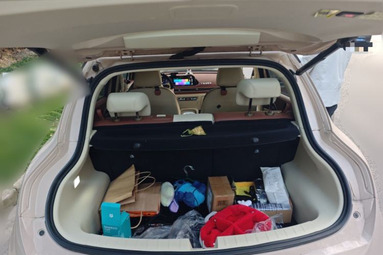 Used ORA Good Cat 2021 400km Standard Range Venus Edition Lithium Iron Phosphate
