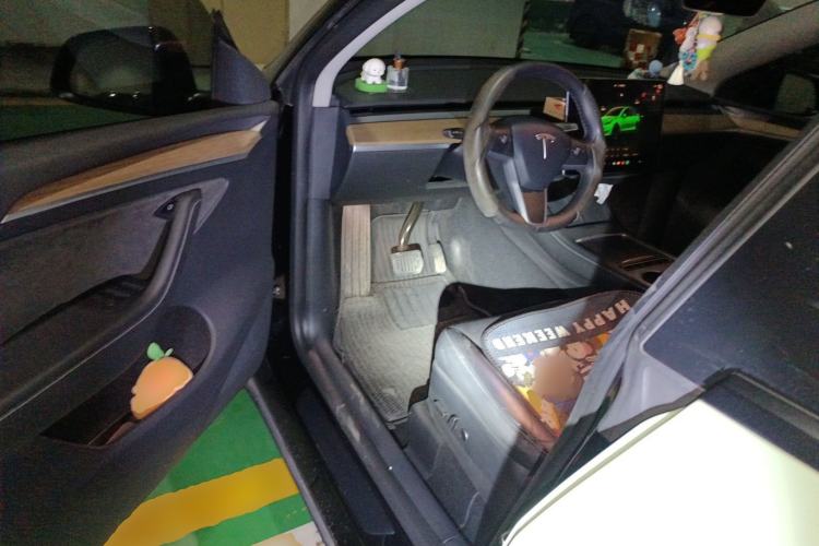 Used Tesla Model Y 2022 Long-Range All-Wheel-Drive Version