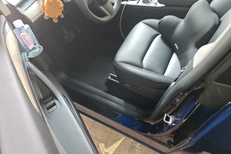 Used Tesla Model Y 2021 Standard Range Rear-Wheel Drive Version
