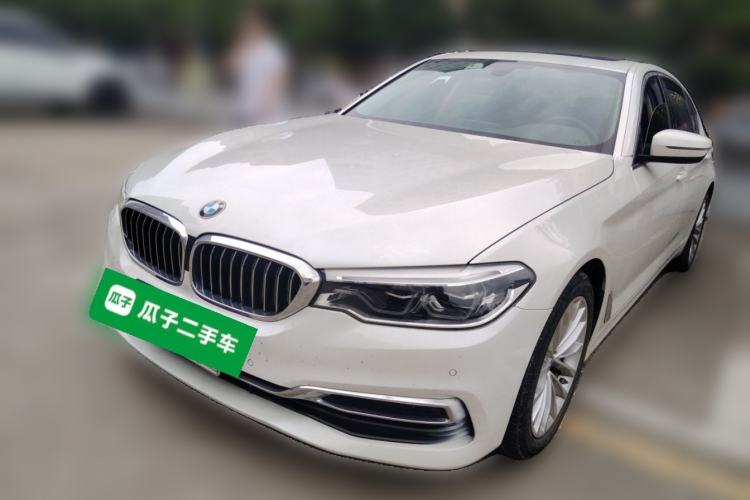 Used BMW 5 Series 2020 530Li Leading Edition Luxury Package