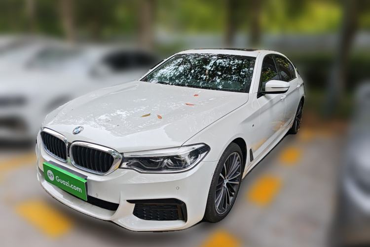 Used BMW 5 Series 2019 Restyled 530Li Luxury Edition M Sport Package