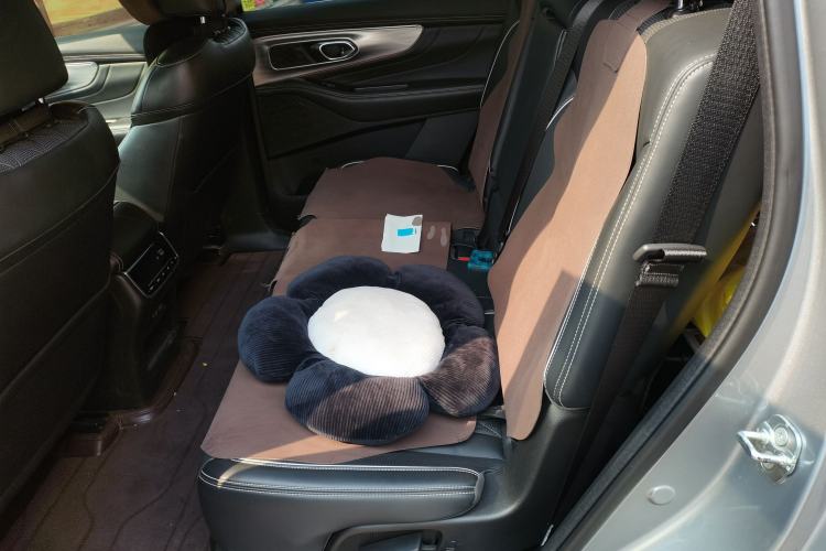 Used GAC Trumpchi GS8 2022 Linghang Series 2.0 TGDI Two-Wheel-Drive Luxury Smart Connectivity Version (7 Seats)