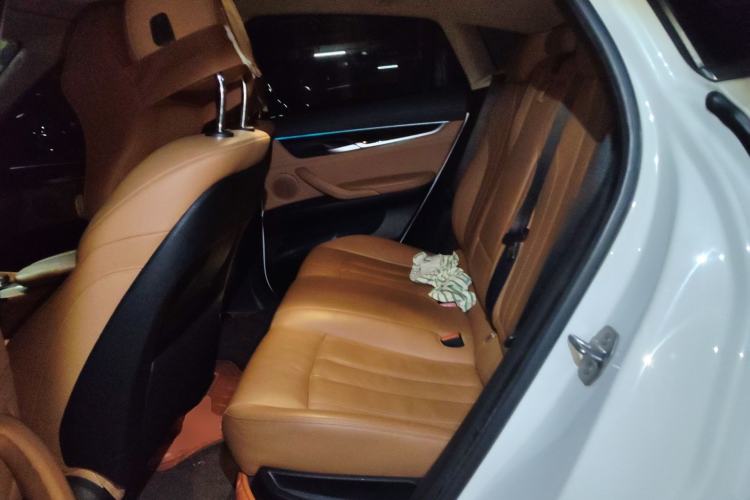 Used BMW X6 2017 xDrive28i Left Rear Seat