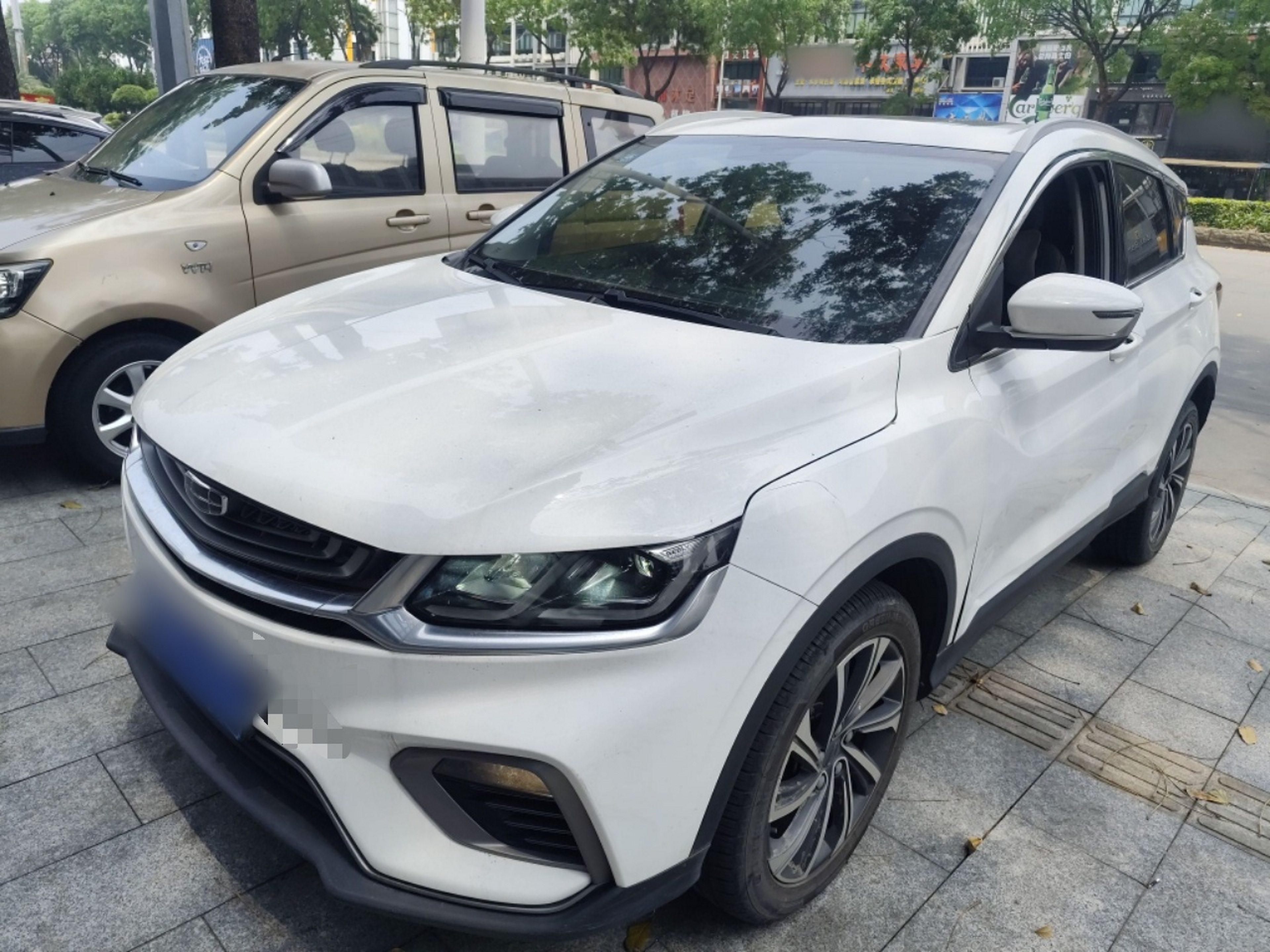 Parte inferior delantera