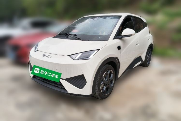 Used BYD Seagull 2025 Smart Drive Version 305 km Freedom Edition