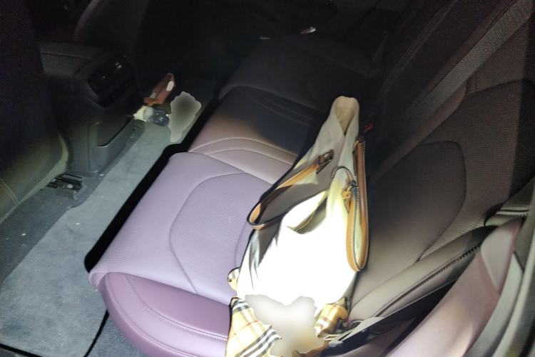 Used Xiaomi Auto SU7 2024 Four-Wheel Drive Ultra-Long Range Advanced Intelligent Driving Max Edition Left Rear Seat