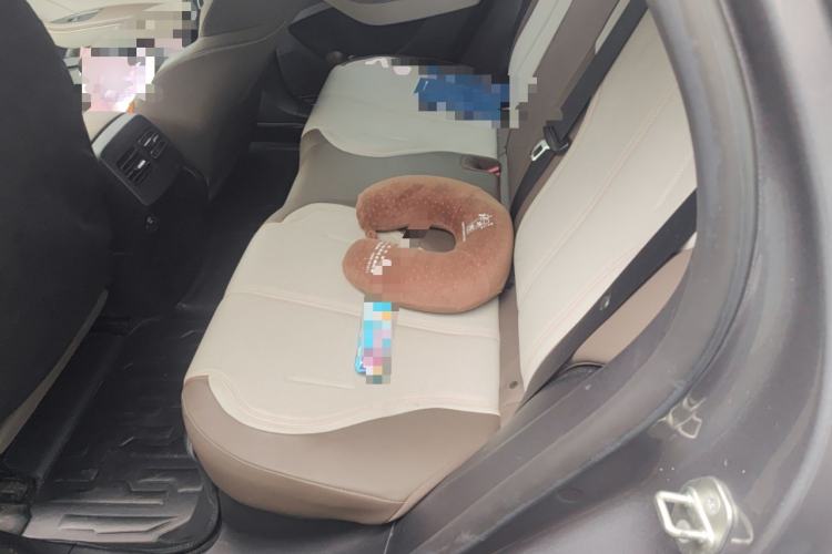 Used BYD Qin PLUS 2023 Champion Edition DM-i 55KM Leading Model Left Rear Seat