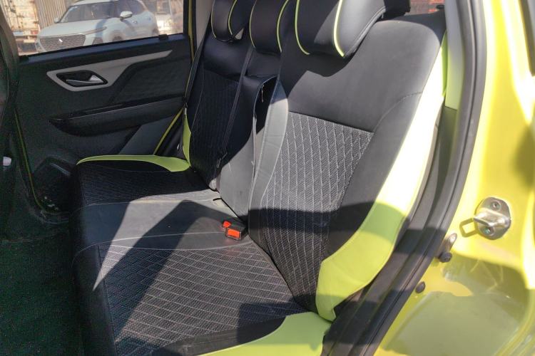 Used SOL E10X 2022 Flower Fairy Design Four-Leaf Clover Left Rear Seat