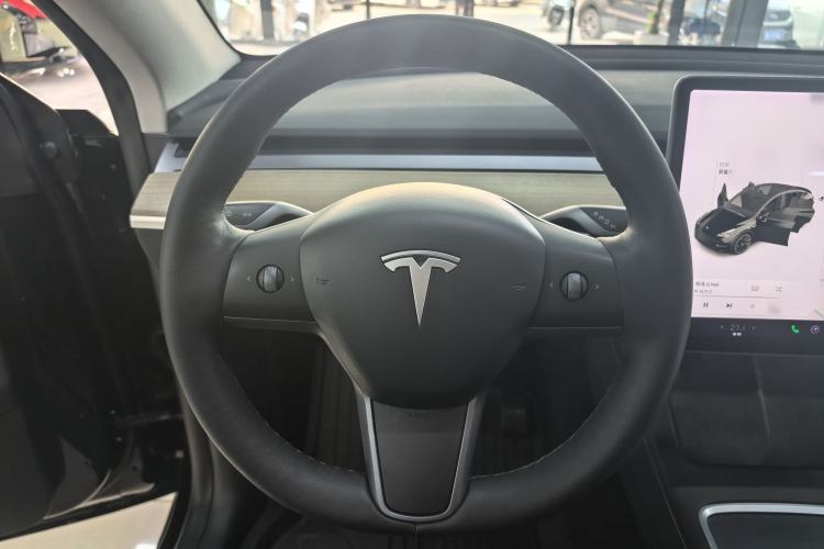 Used Tesla Model Y 2021 Standard Range Rear-Wheel Drive Version
