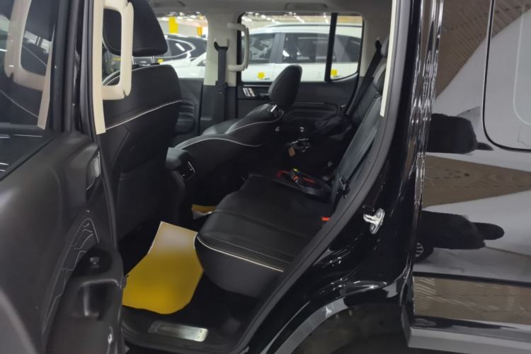 Used Tank 300 2021 City Edition 2.0T—Truly Stylish Left Rear Seat