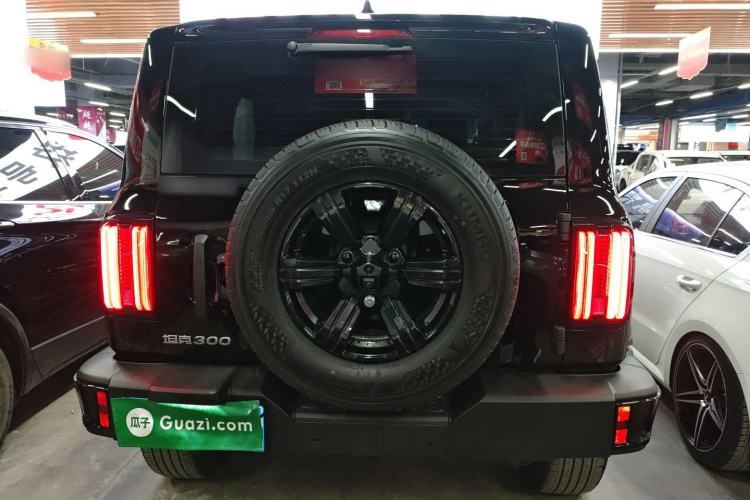 Used Tank 300 2025 2.0T Conqueror