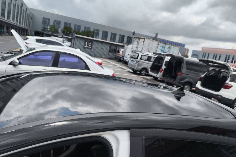 Used SOL E10X 2022 Flower Fairy Style Baby's Breath