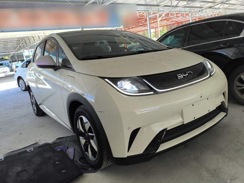 Used BYD Dolphin 2024 Honor Edition 420km Fashion Version — 3