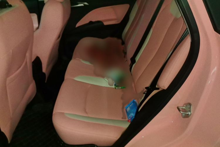 Used NETA V 2022 Chao 400 Lite Pink Custom Edition
