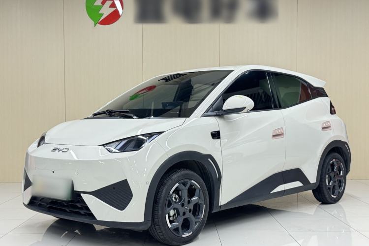 Used BYD Seagull 2025 Smart Drive Version 305 km Freedom Edition