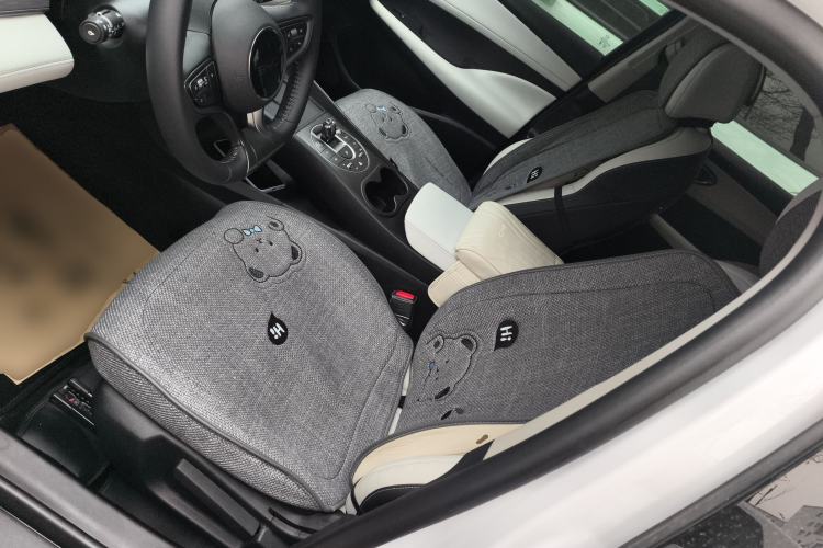 Used BYD Seal 05 DM-i 2025 DM-i Smart Drive 55KM Luxury Model Left Front Seat