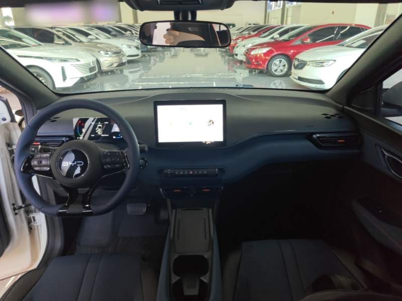 Used BYD Seagull 2025 305 km Free Version — 9