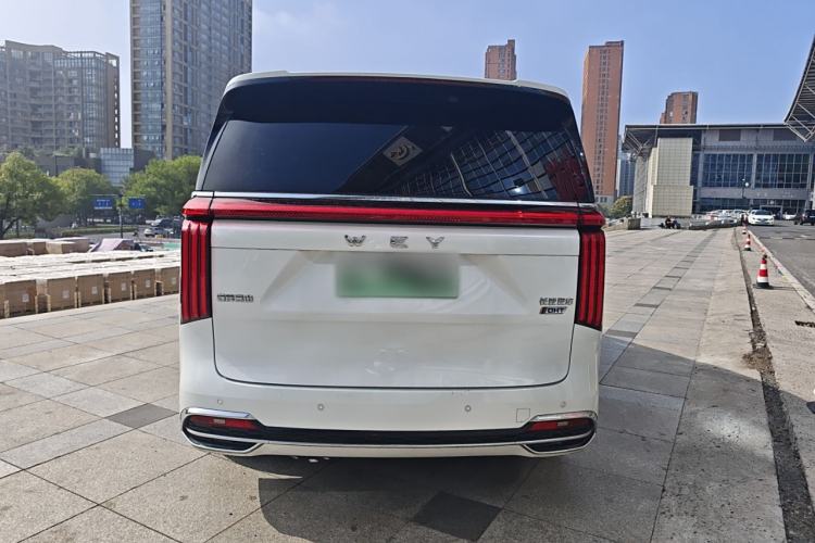 Used Wey Gaoshan 2023 Four-Wheel Drive Flagship Edition