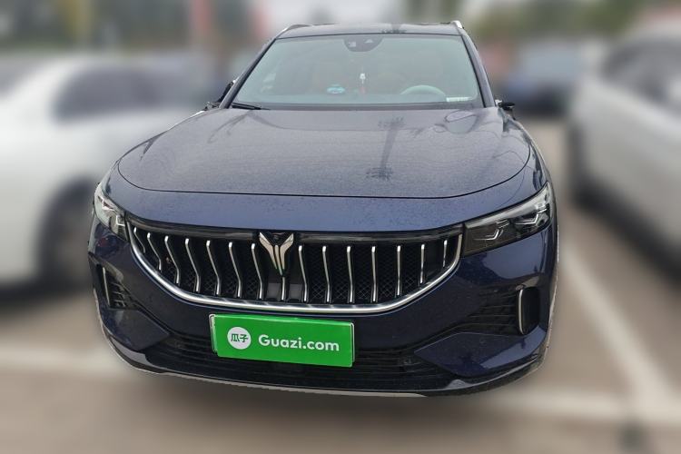 Used VOYAH FREE 2021 Four-Wheel Drive Standard Range-Extended Exclusive Luxury Package