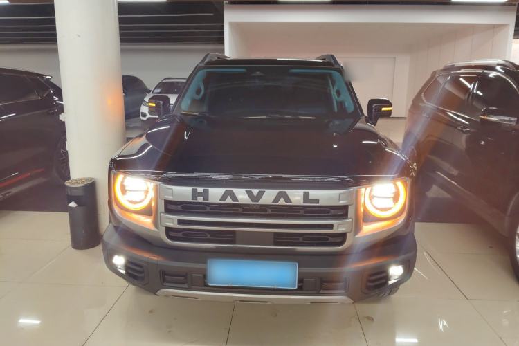 Used Haval DARGO 2024 2.0T DCT Chinese Rural Dog Edition
