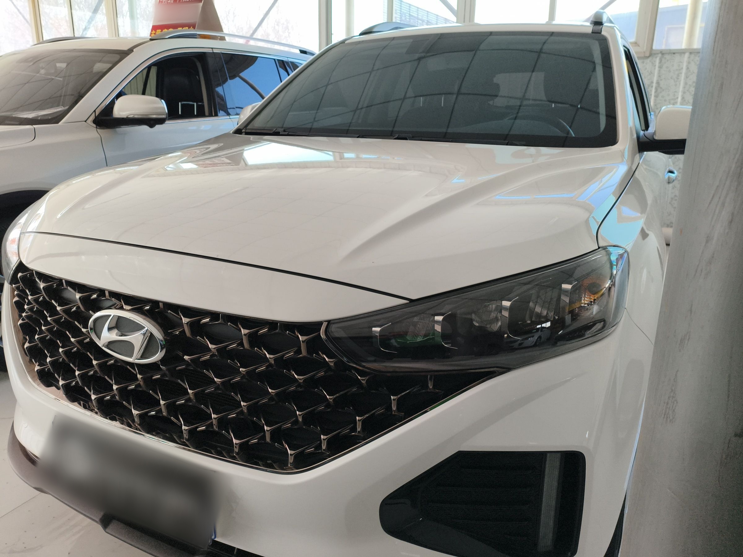 Parte inferior delantera