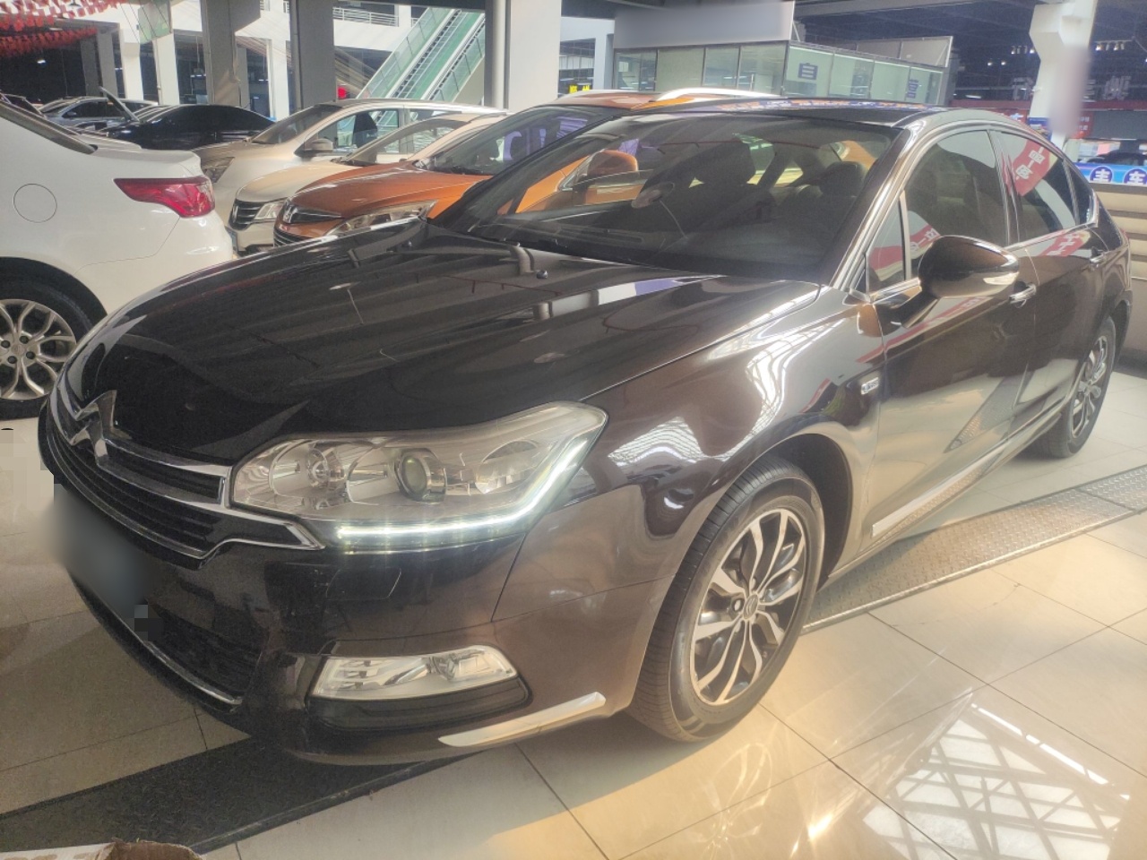 Parte inferior delantera