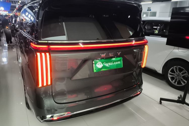 Used Wey Gaoshan 2025 Four-Wheel Drive Alpine 8
