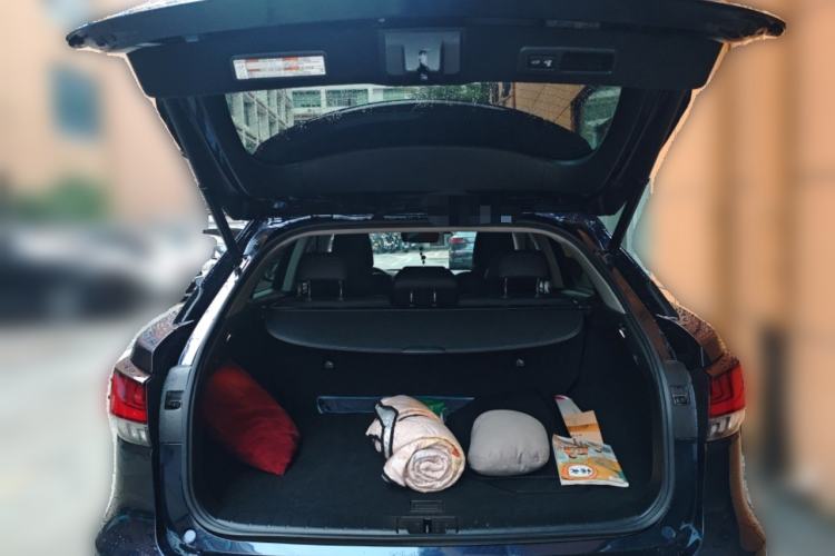 Used Lexus RX 2020 Revised Version 300 Two-Wheel Drive Comfort Edition
