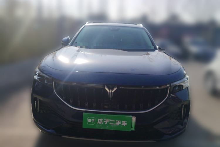 Used VOYAH FREE 2021 Four-Wheel Drive Extended-Range First-Edition Commemorative Model Front