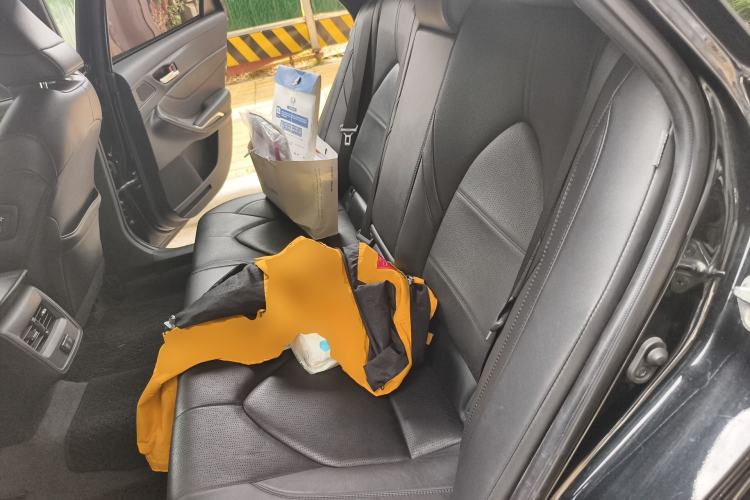 Used Toyota Avalon 2019 2.0L Luxury Edition China VI Standard Left Rear Seat