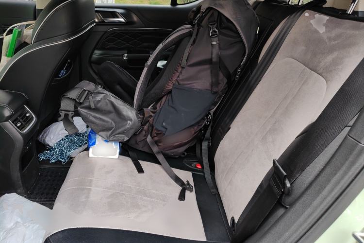 Used Tank 300 2021 2.0T Wind & Forest Iron Rider
