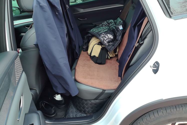 Used BYD Song Pro New Energy 2025 Second-Generation DM-i 75KM Leading Edition Left Rear Seat